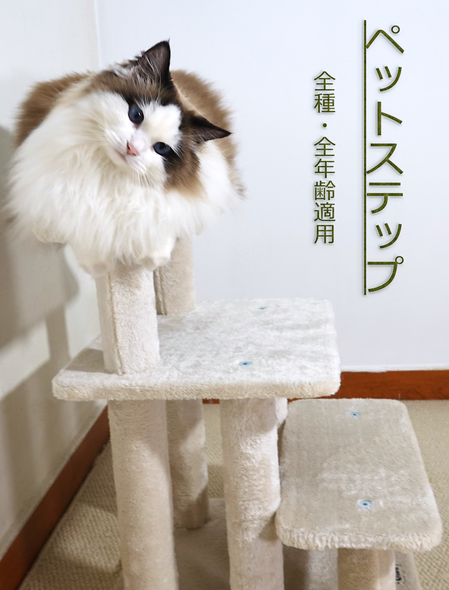 階段・ステップ