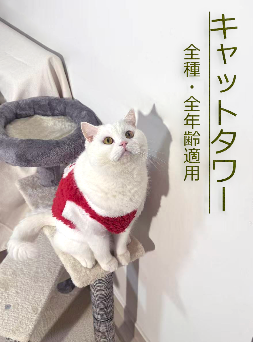 キャットタワー